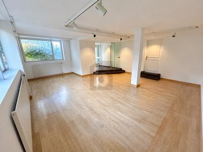 LUMINOSO E DI RAPPRESENTANZA, Auf Anfrage, 8118 Pfaffhausen, Ticino, CH
