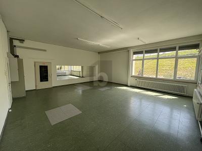 CONDIZIONI IDEALI PER IL SUO BUSINESS, Auf Anfrage, 9434 Au SG, Saint Gallen, CH