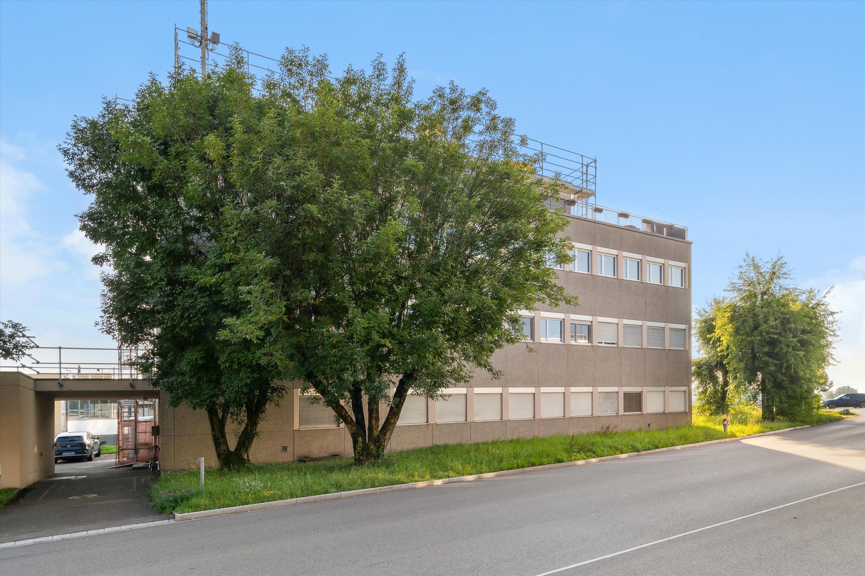 Votre nouveau local commercial près du Greifensee ?, Tämperlistrasse, 8117 Fällanden, Zurich, CH