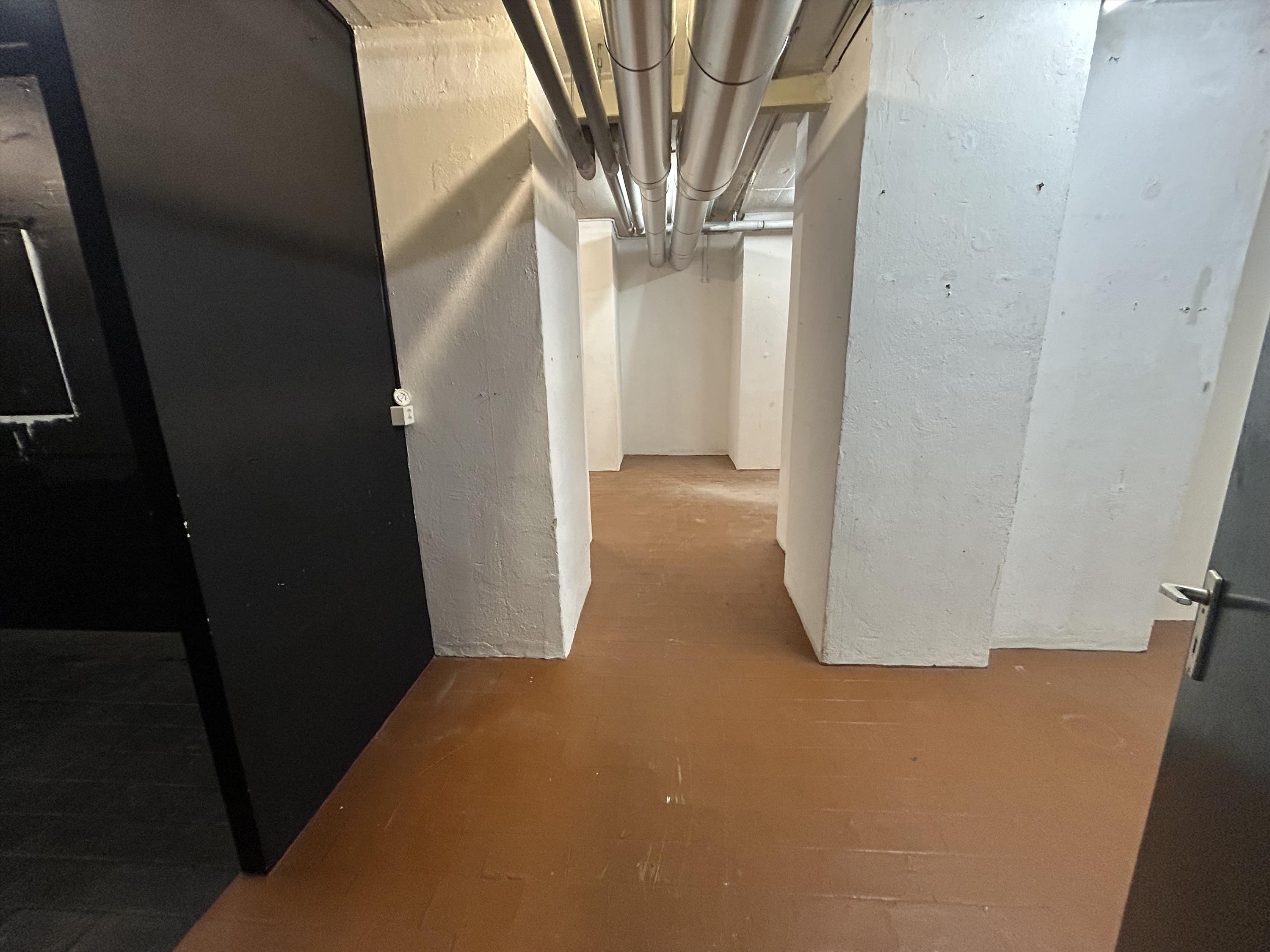Magazzino in posizione attraente - Heuwaage, Binningerstr., 4051 Basel, Basel-City, CH