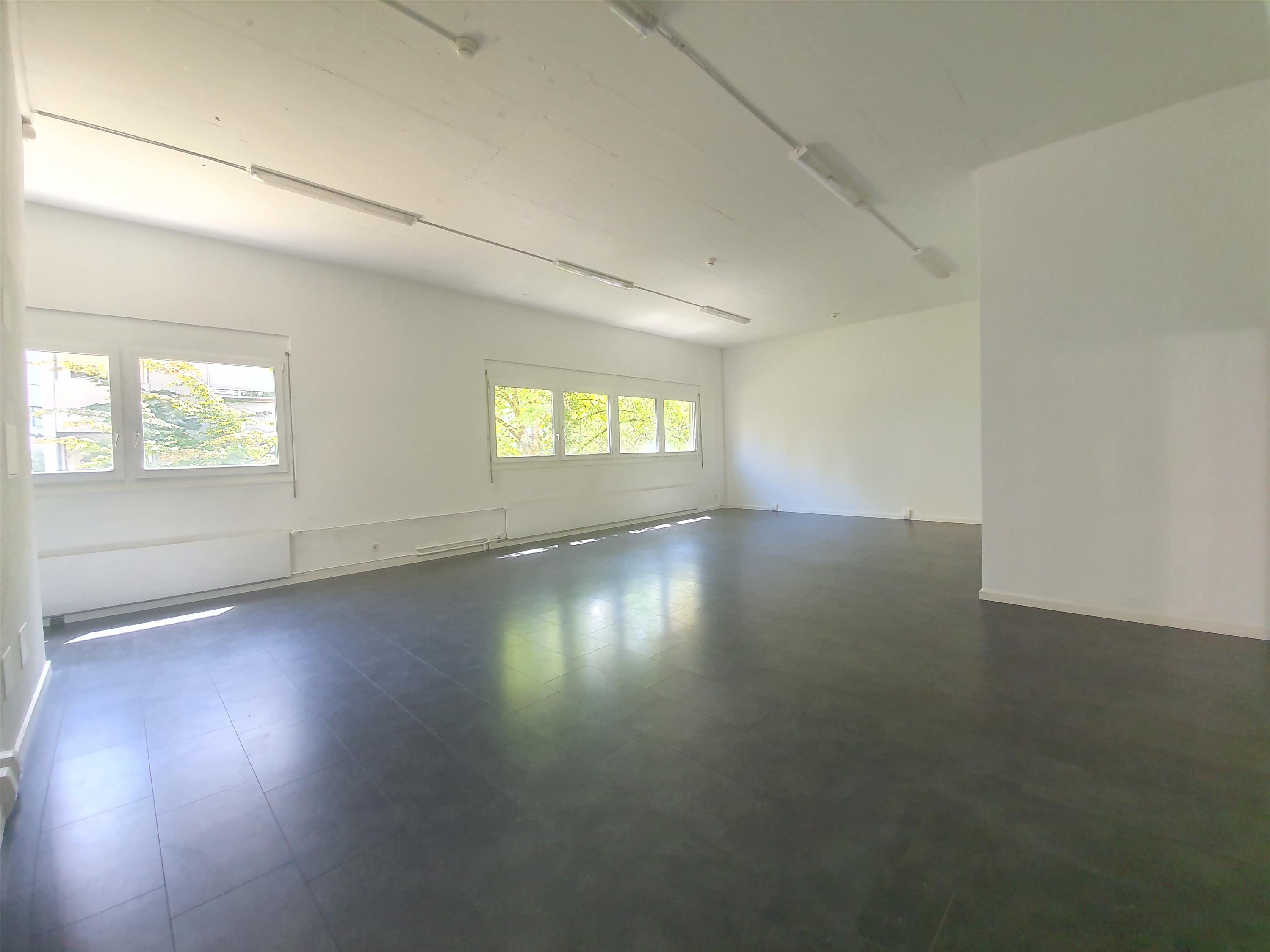 Cercate una superficie per uffici a Basel Dreispitz?, Falkensteinerstrasse, 4053 Basel, Basel-City, CH