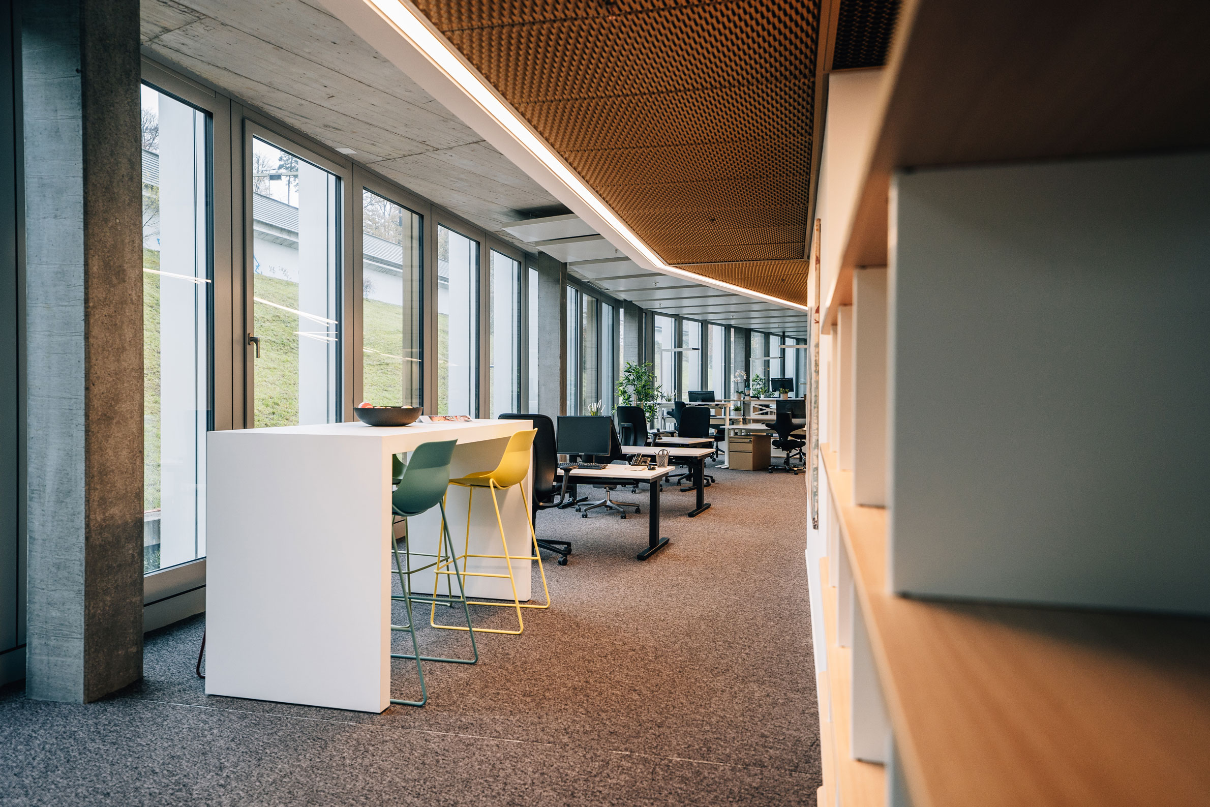 Espaces commerciaux attractifs à Zurich-Sud – Travailler avec style et vue dégagée