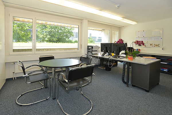 Nuove prospettive per lei!, Baarerstr., 6300 Zug, Zug, CH