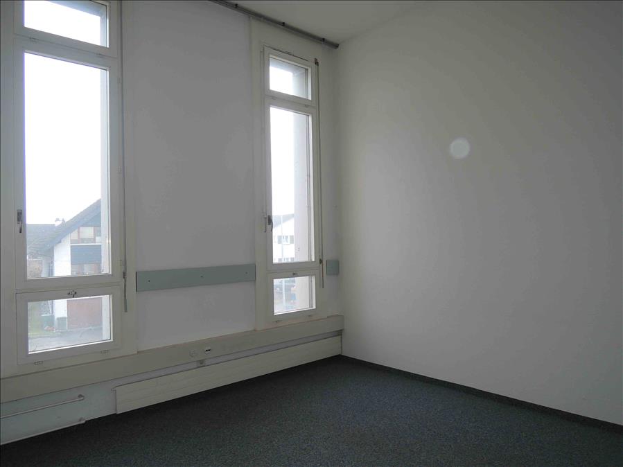 Surface commerciale ou de bureaux attractive dans la belle vallée du Rhin, Ländernachstr., 9435 Heerbrugg, St. Gallen, CH