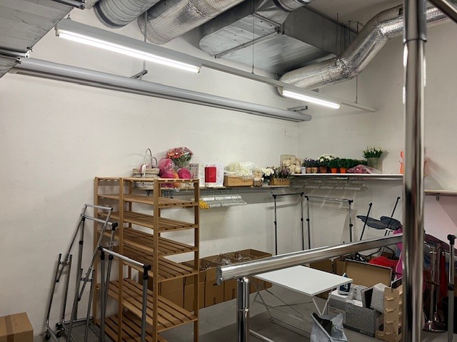 Dépôt à louer en centre-ville, Rue de Bourg 16 -, 1003 Lausanne, Vaud, CH