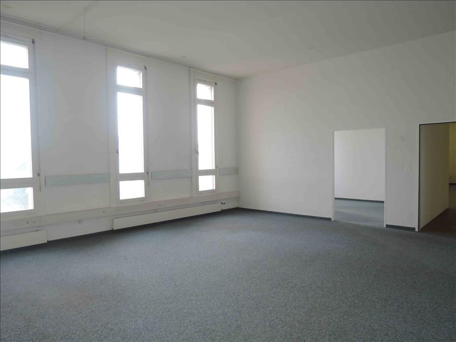 Surface commerciale ou de bureaux attractive dans la belle vallée du Rhin, Ländernachstr., 9435 Heerbrugg, St. Gallen, CH