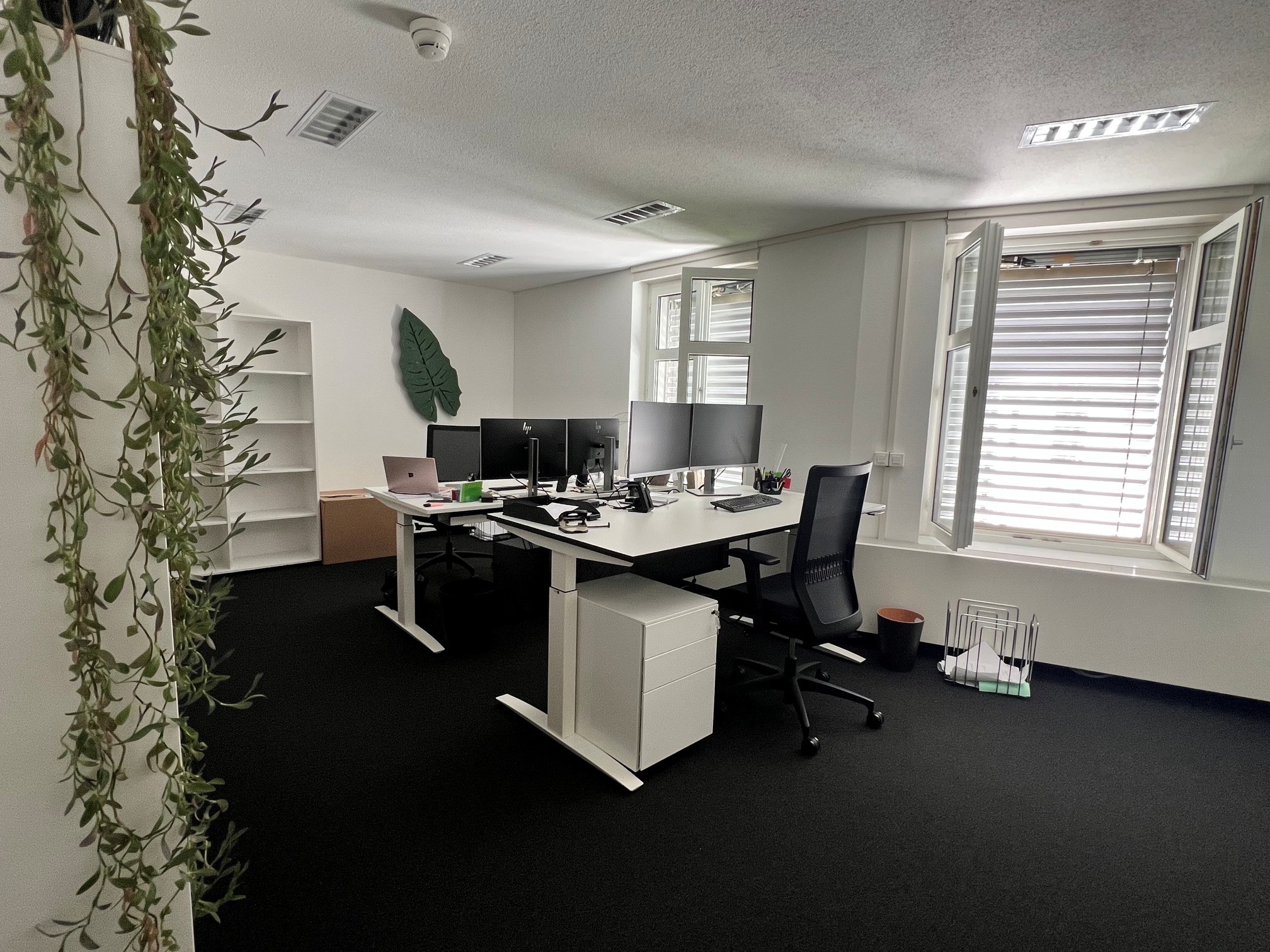 Ottima opportunità - locali in posizione estremamente centrale!, Vadianstrasse, 9000 St. Gallen, St. Gallen, CH