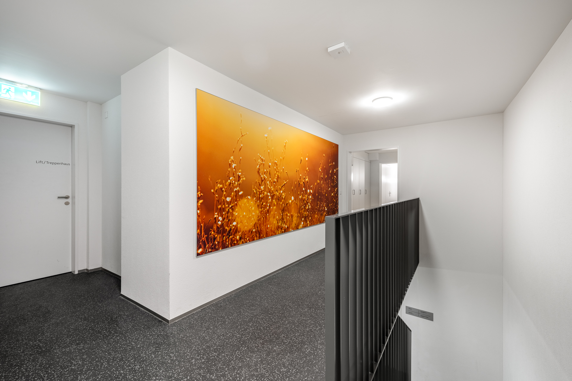 Plug & Play sur la Zürichstrasse, Wesemlinstrasse, 6006 Luzern, Lucerne, CH