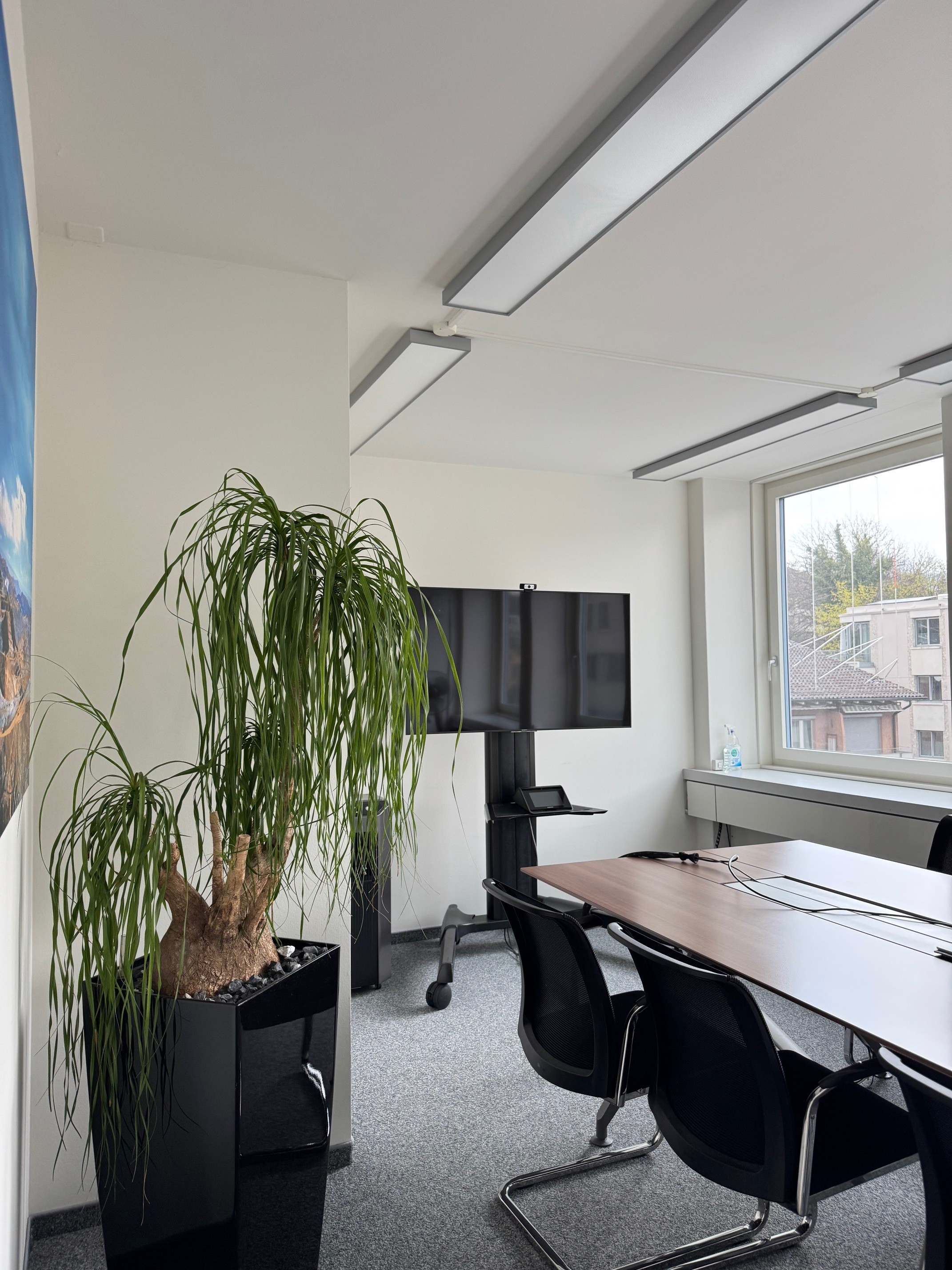 Bureaux à louer dans le Seefeld zurichois, Mühlebachstrasse, 8008 Zürich, Zurich, CH