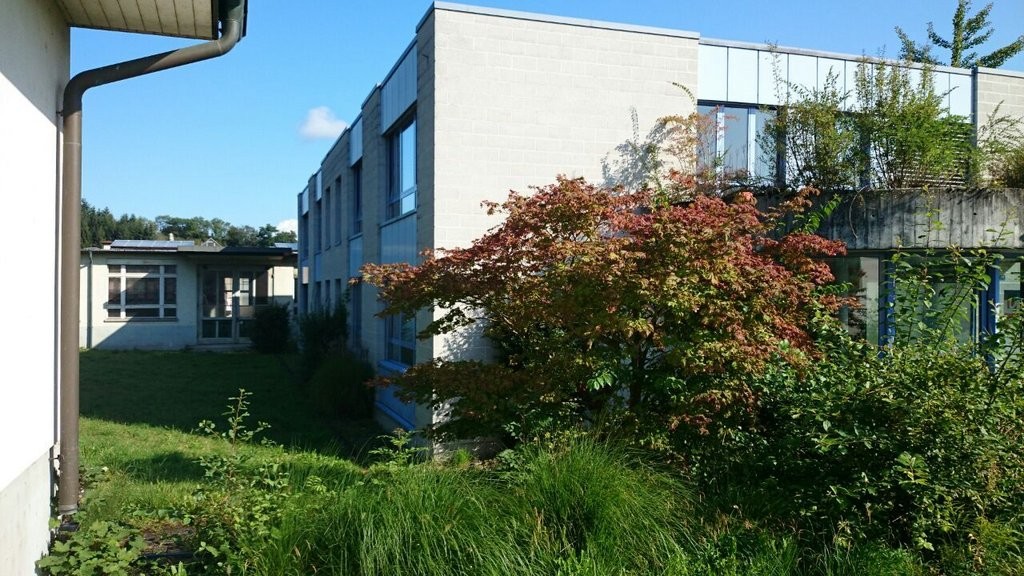 Espace de bureau à louer, Rheinstrasse 74, Bau, 4323 Wallbach, Aargau, CH