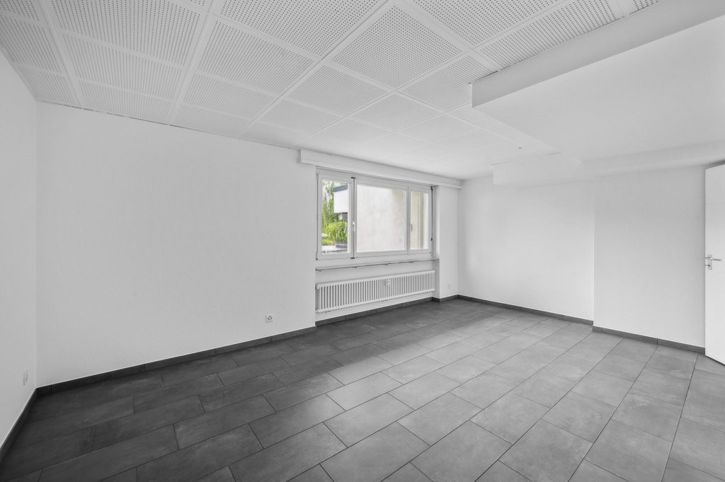 Ufficio / Atelier / Consulenza, Schlossstrasse, 4133 Pratteln, Basel-Landschaft, CH