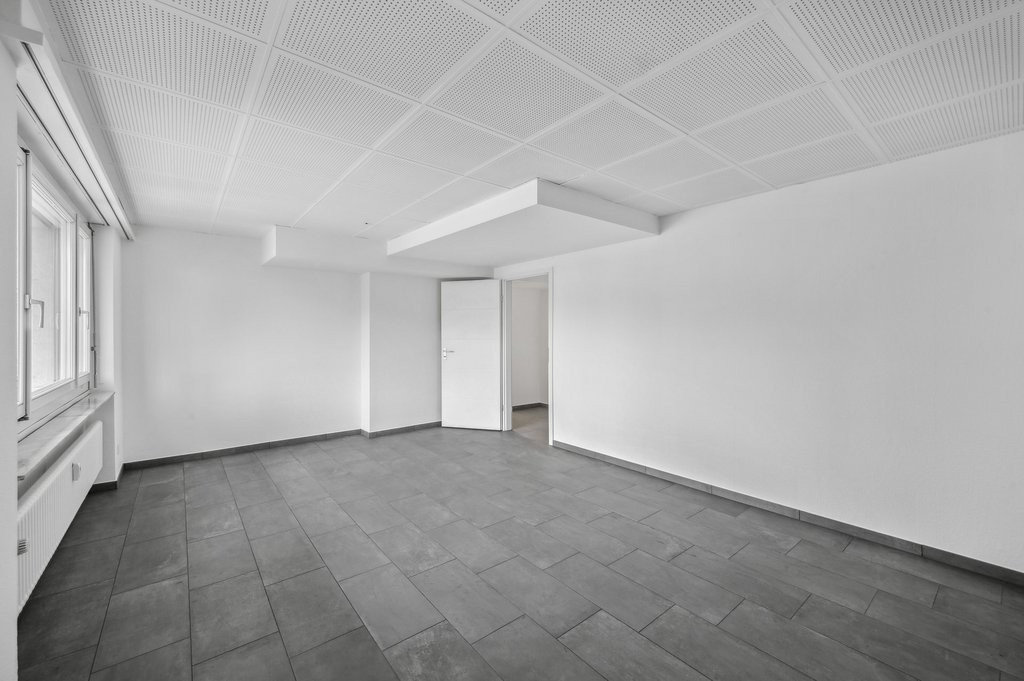 Ufficio / Atelier / Consulenza, Schlossstrasse, 4133 Pratteln, Basel-Landschaft, CH