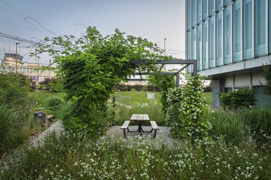 450 m2 commercial space in the heart of the World Trade Center II, Route de Pré-Bois, 1215 Genève 15 Aéroport, Geneva, CH