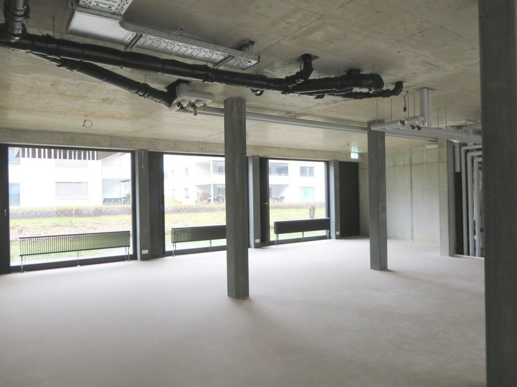 Il luogo perfetto per la vostra azienda! - Tre canoni netti in omaggio, Strickereistrasse, 4663 Aarburg, Aargau, CH