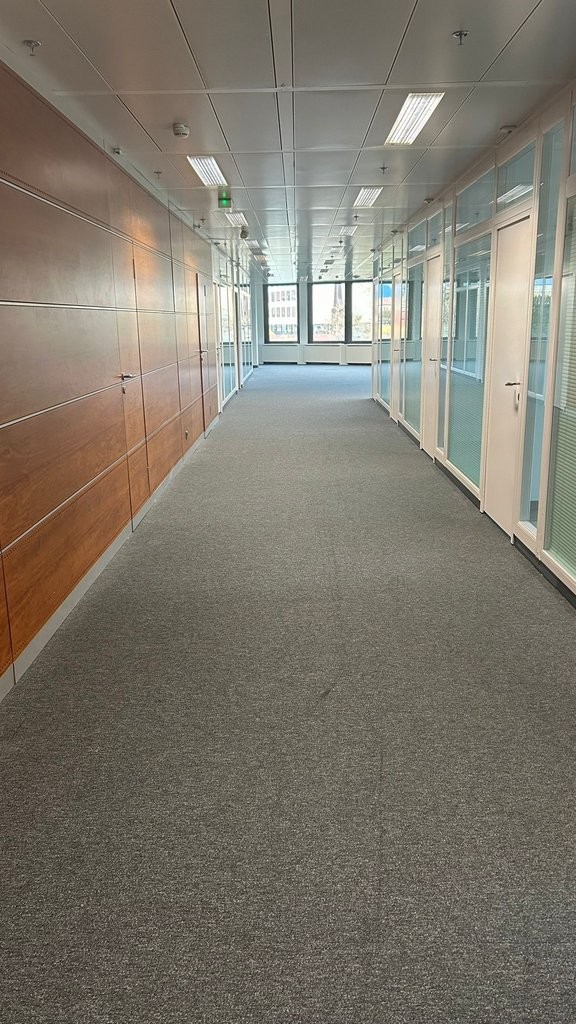 Büro 329 m² - Avenue des Morgines 12, Petit-Lancy, Avenue des Morgines, 1213 Petit-Lancy, Geneva, CH