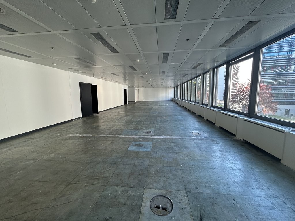 Bureau 277 m 2 - Avenue des Morgines 12, Petit-Lancy, Avenue des Morgines, 1213 Petit-Lancy, Geneva, CH