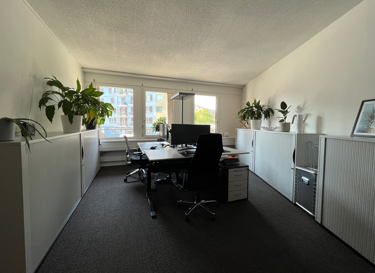 La soluzione perfetta per l'avvio o la fase di transizione della vostra attività, Hohlstrasse, 8004 Zürich, Zurich, CH