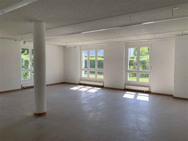 Ampio spazio commerciale con locale principale di 61 m2, Im Pünt, 8105 Watt, Zurich, CH