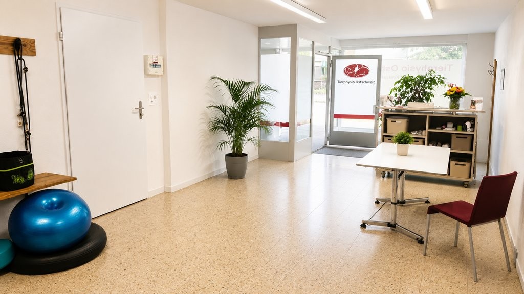 Locaux commerciaux en plein cœur d'Abtwil, Hauptstrasse, 9030 Abtwil, St. Gallen, CH