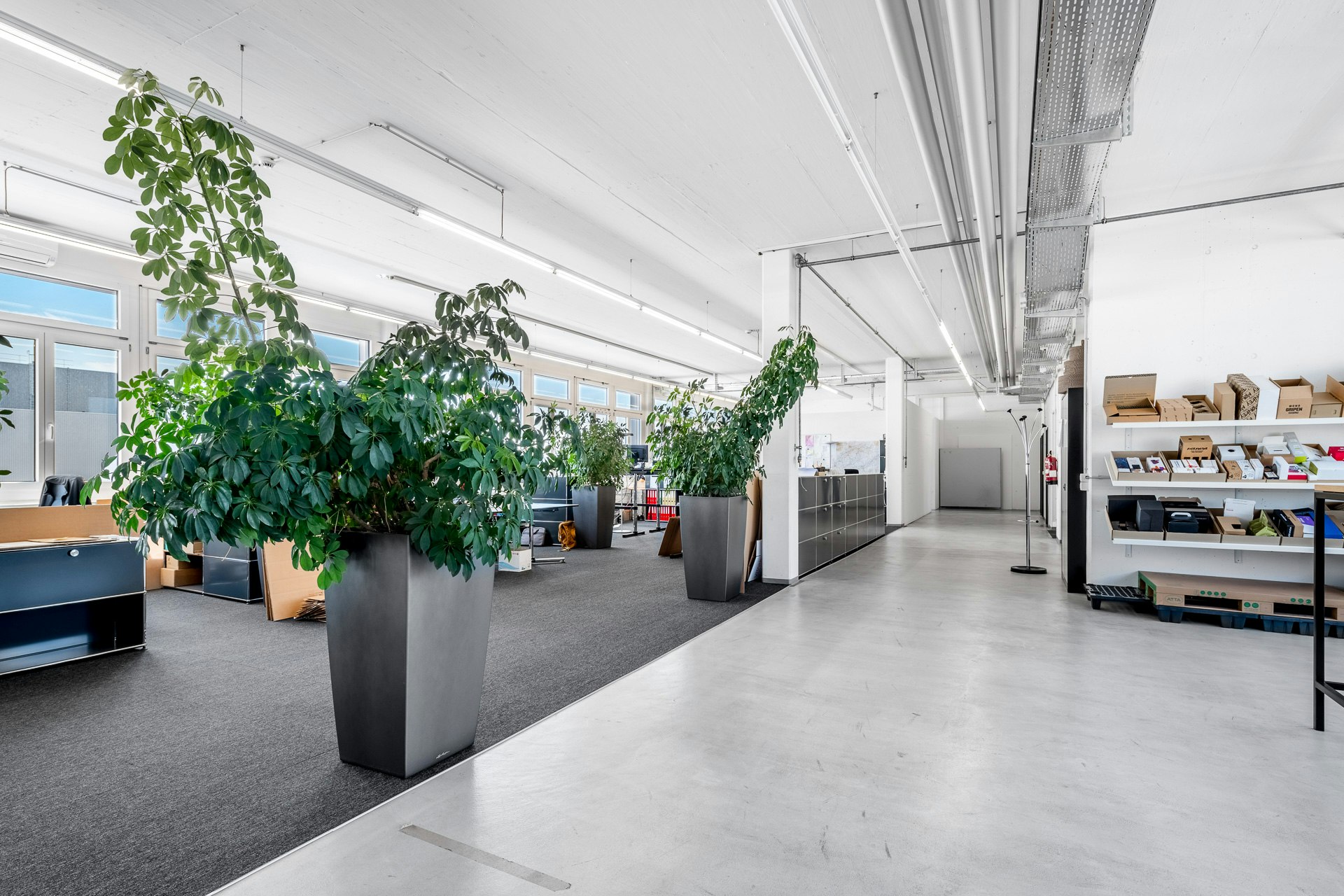 Office or commercial space from 350 m² in the Althard area