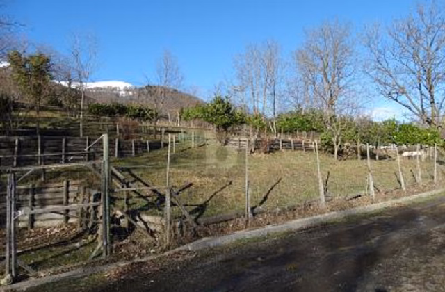 PRÉ POUR CHEVAUX