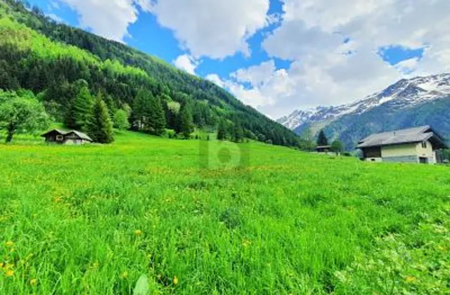 TERRAINS CONSTRUCTIBLES, AGRICOLES ET FORESTIERS