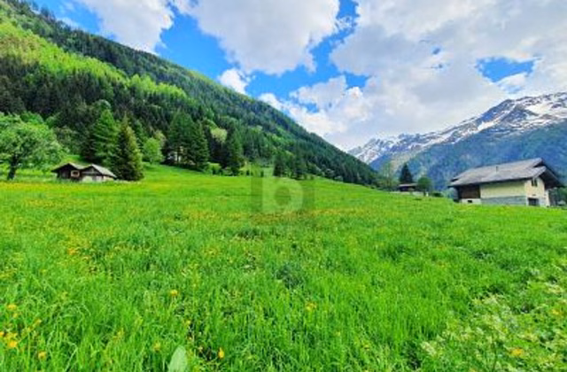 TERRAINS CONSTRUCTIBLES, AGRICOLES ET FORESTIERS