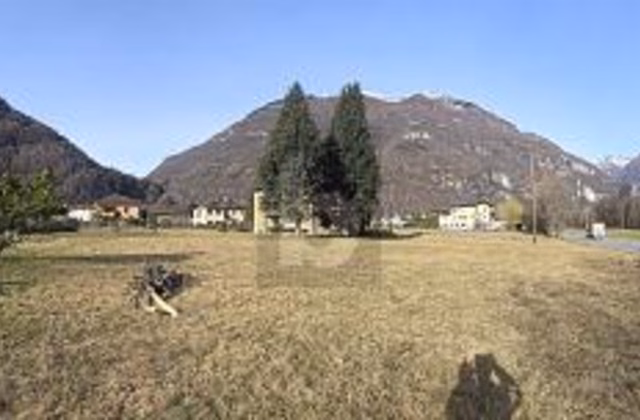 SPACIOUS AND SUNNY IN A QUIET LOCATION