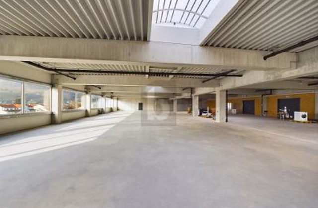 IMMENSE HALLE DE MONTAGE, IDÉALE POUR VOTRE ENTREPRISE