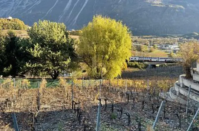 AU MILIEU DES VIGNOBLES PITTORESQUES
