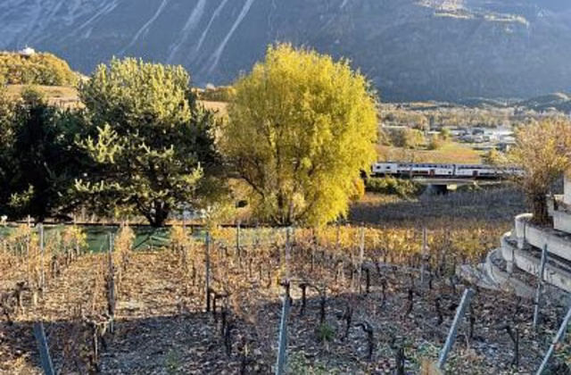 AU MILIEU DES VIGNOBLES PITTORESQUES