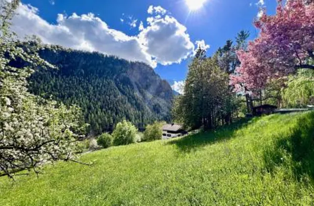 In posizione unica e soleggiata con riserva di terreno edificabile