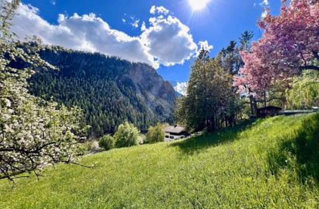 Unique sunny location with building land reserve