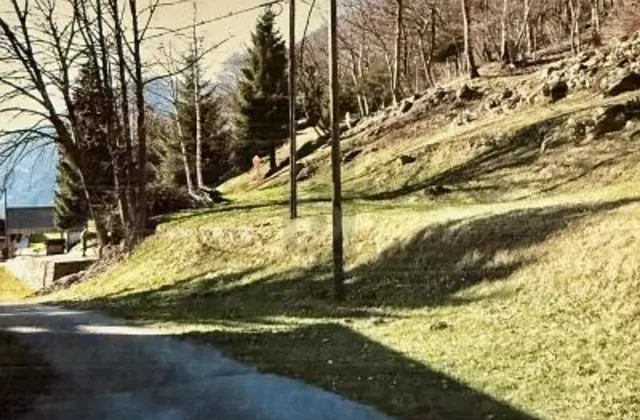 ENSOLEILLÉ ET TRANQUILLE