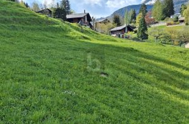 Emplacement calme et ensoleillé avec vue