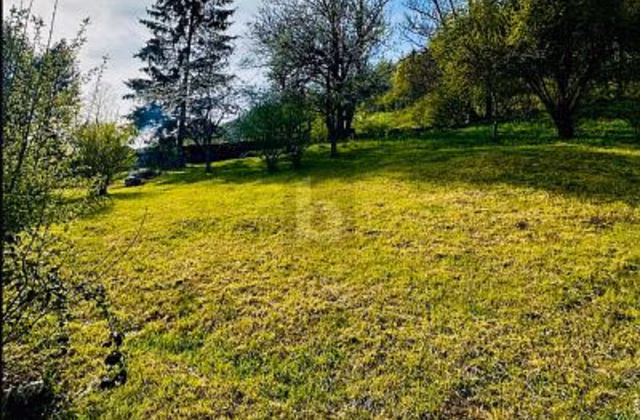 POTENTIEL AU CœUR DE SONVILIER