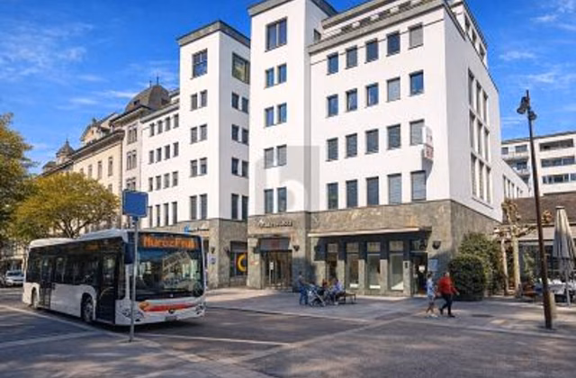 LUMINEUX, PRATIQUE ET CENTRAL