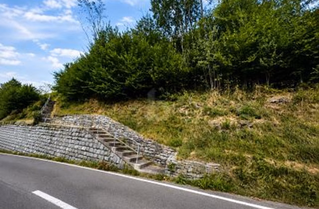 IN POSIZIONE SOLEGGIATA