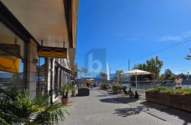 IDEALMENTE SITUATO SUL QUAI DES BERGUES