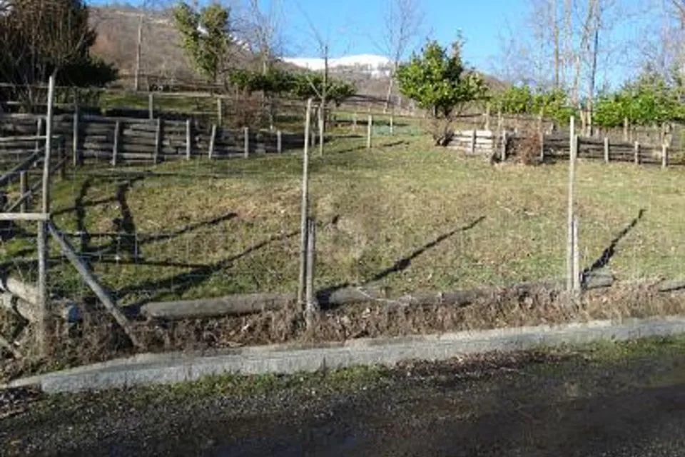 PRATO PER CAVALLI, 6986 Miglieglia, Ticino, CH