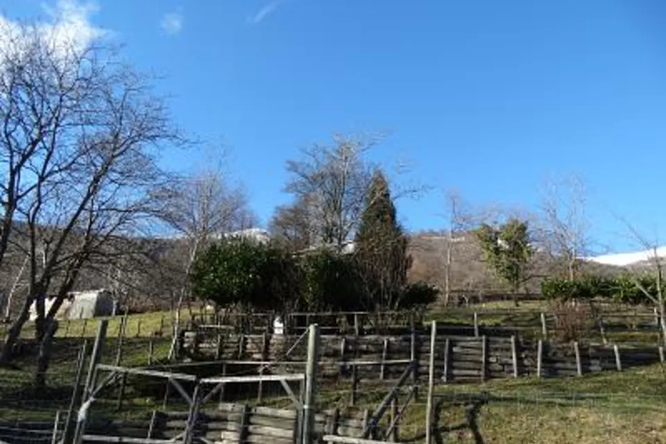 PRATO PER CAVALLI, 6986 Miglieglia, Ticino, CH