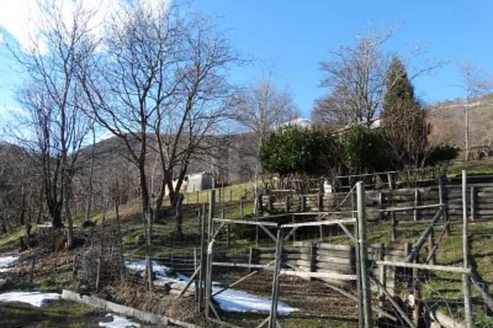 PRATO PER CAVALLI, 6986 Miglieglia, Ticino, CH
