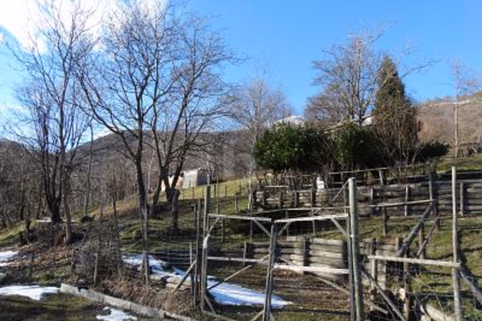 PRATO PER CAVALLI, 6986 Miglieglia, Ticino, CH