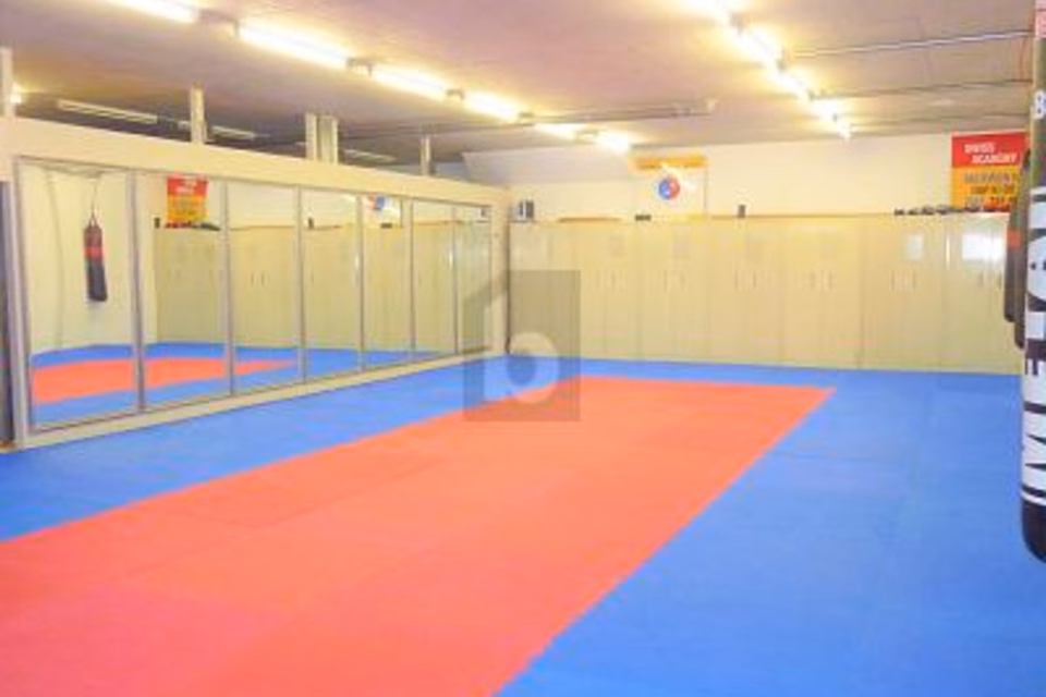SALLE DE SPORT MULTIFONCTIONS, 1305 Penthalaz, Vaud, CH