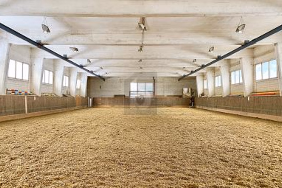PROFITEZ DES VACANCES AVEC VOTRE CHEVAL, 7166 Trun, Grisons, CH