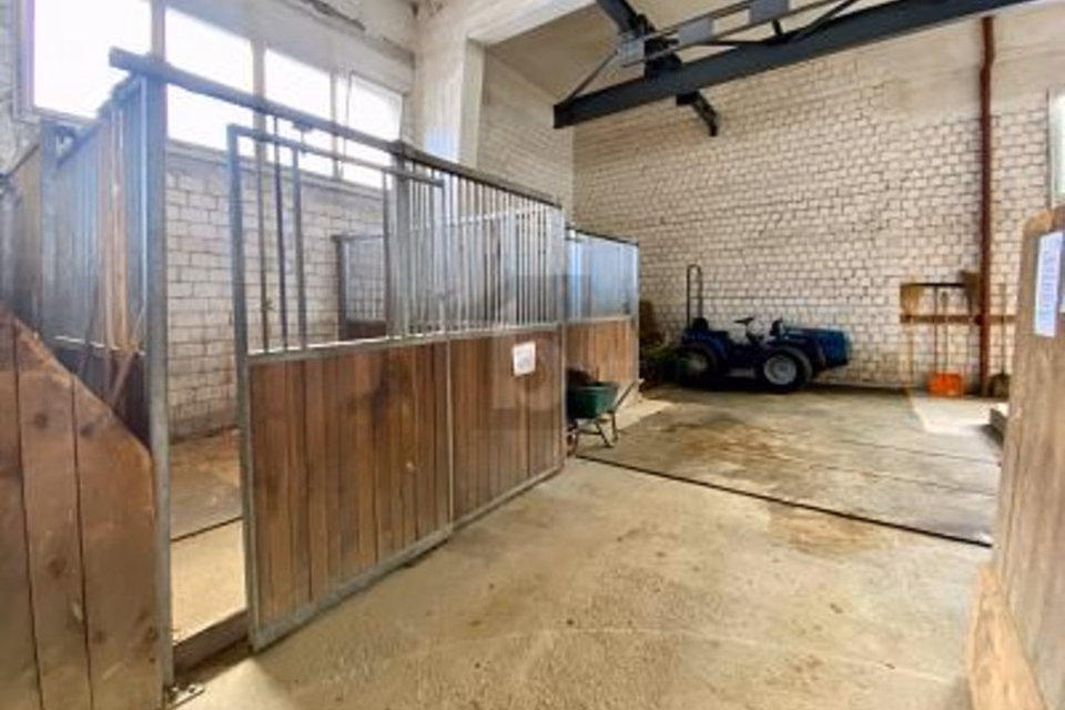 PROFITEZ DES VACANCES AVEC VOTRE CHEVAL, 7166 Trun, Grisons, CH