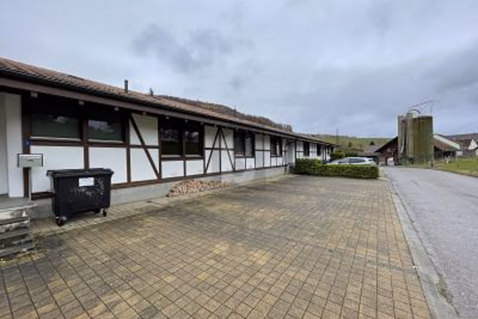 BUREAU, ENTREPÔT AVEC DEUX APPARTEMENTS, 4422 Arisdorf, Basel-Landschaft, CH