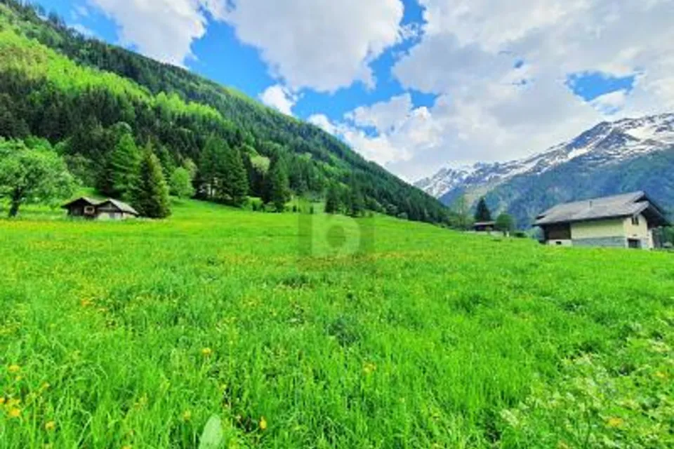 TERRAINS CONSTRUCTIBLES, AGRICOLES ET FORESTIERS, 1929 Trient, Valais/Wallis, CH