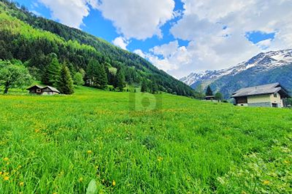 TERRAINS CONSTRUCTIBLES, AGRICOLES ET FORESTIERS, 1929 Trient, Valais/Wallis, CH