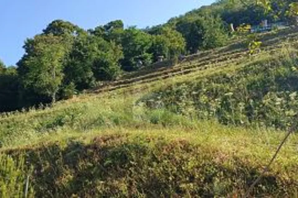Terrain constructible avec vue dégagée, 6821 Rovio, Ticino, CH